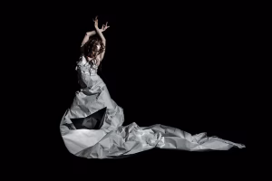 Flamenco Arts International Blends Tradition and Innovation